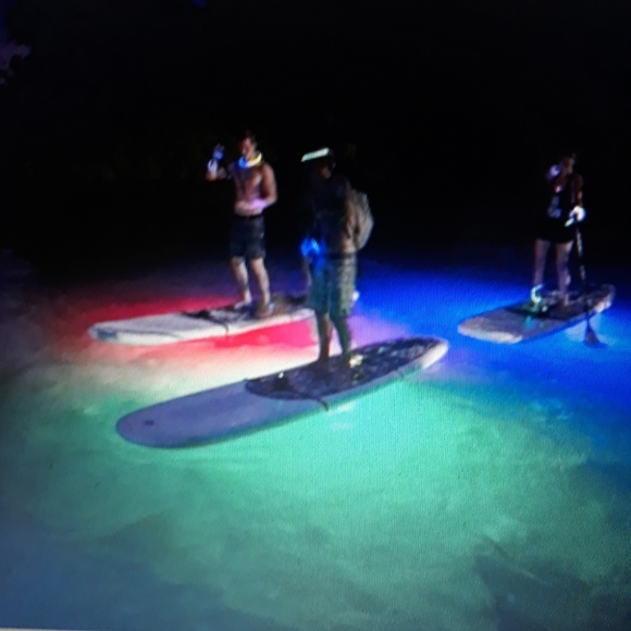 Meet your Posher, Jessica - Picture 5 of 16